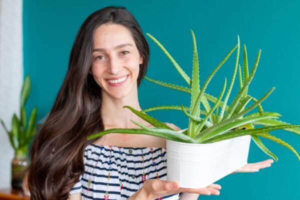 Aloe Vera: The Ultimate Guide for Cultivation and Care